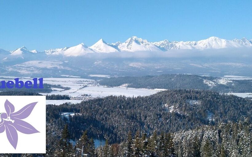 بنسيون Bluebell