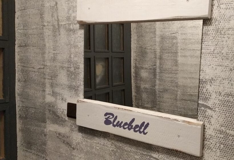 بنسيون Bluebell