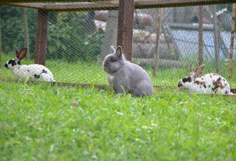 פנסיון Pezión Limbový Dvor