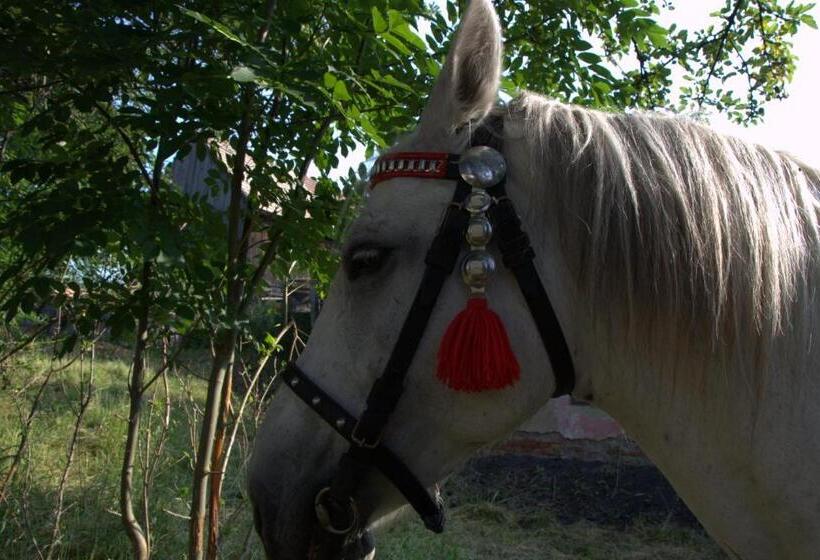 פנסיון Pezión Limbový Dvor