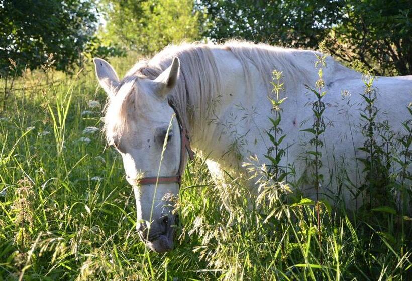 פנסיון Pezión Limbový Dvor