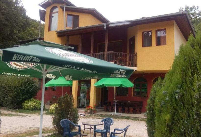 פנסיון Guest House Alfa Daniel