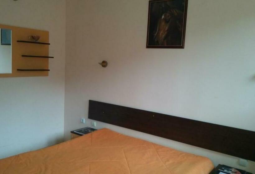 פנסיון Guest House Alfa Daniel