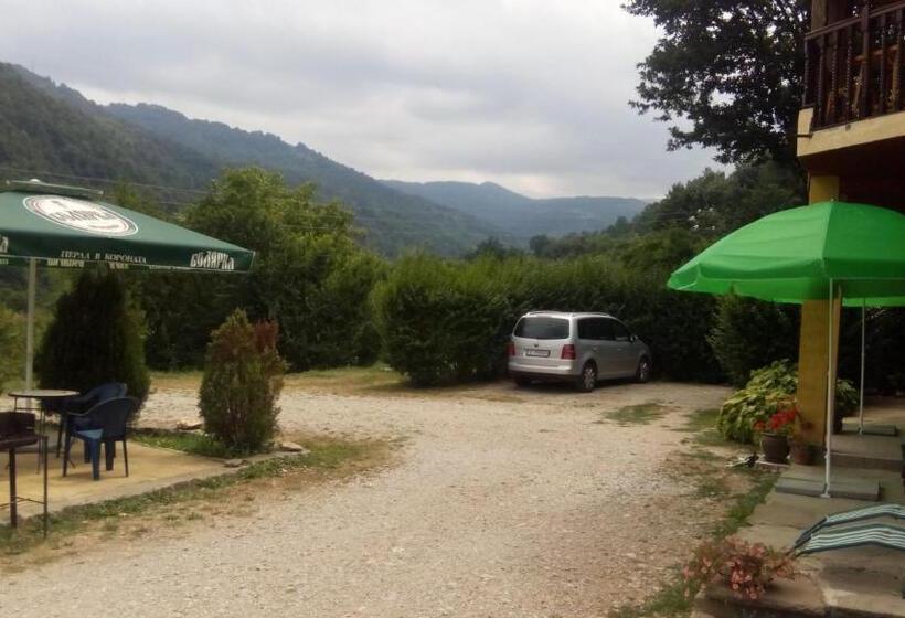 פנסיון Guest House Alfa Daniel