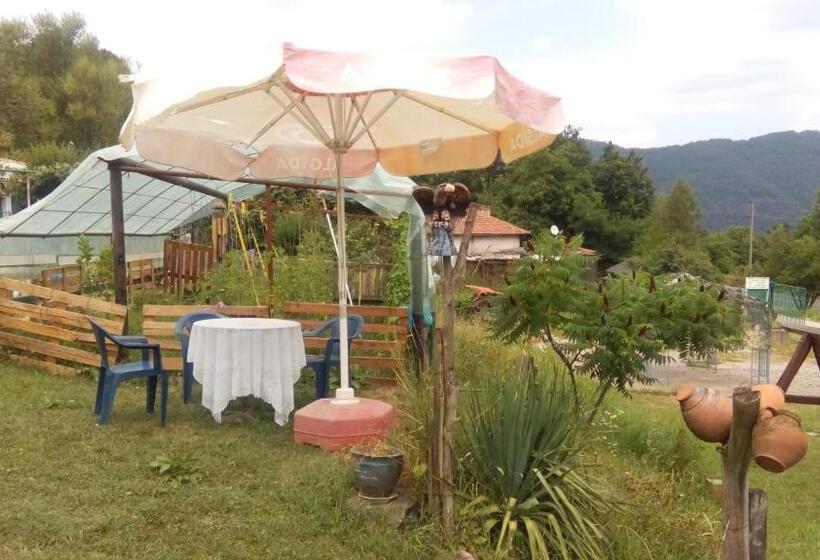 פנסיון Guest House Alfa Daniel