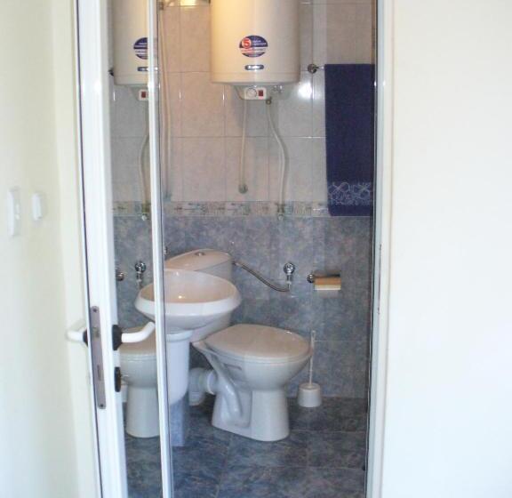 פנסיון Guest House Alfa Daniel