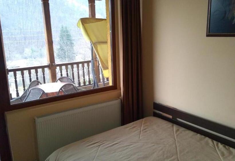 פנסיון Guest House Alfa Daniel