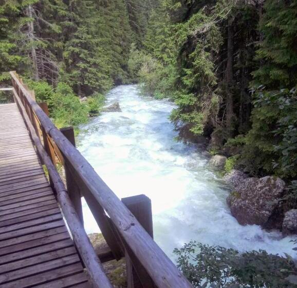 펜션 Guest House Niya