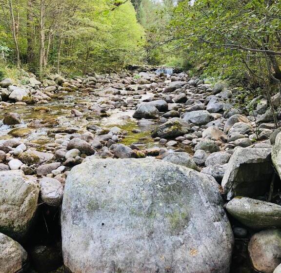 펜션 Guest House Niya