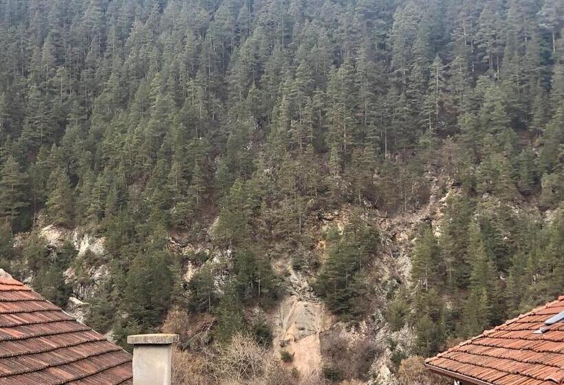 펜션 Guest House Niya