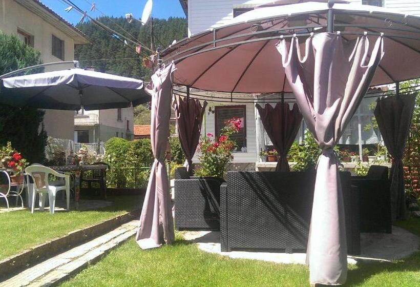 פנסיון Guest House Niya