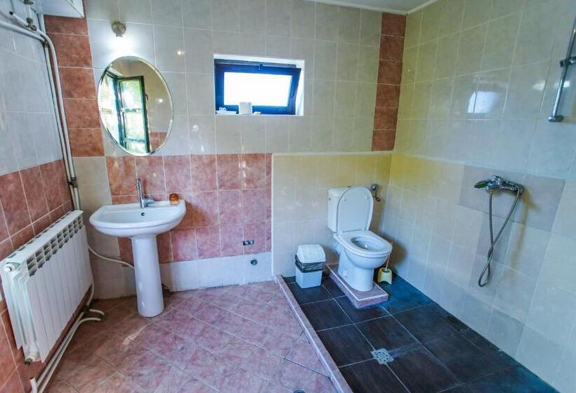 פנסיון Guest House Planinska Sreshta