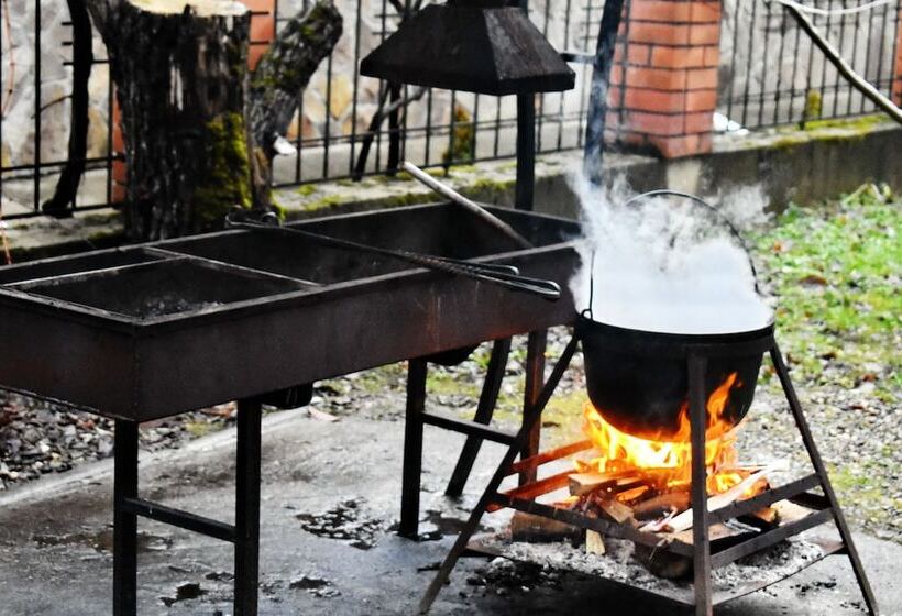 بنسيون Guesthouse Tourist