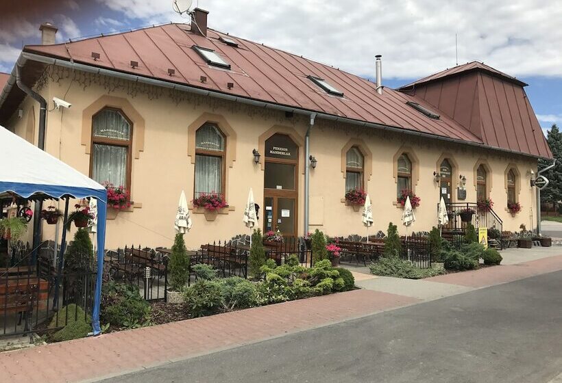 膳宿费 Penzión Manderlak