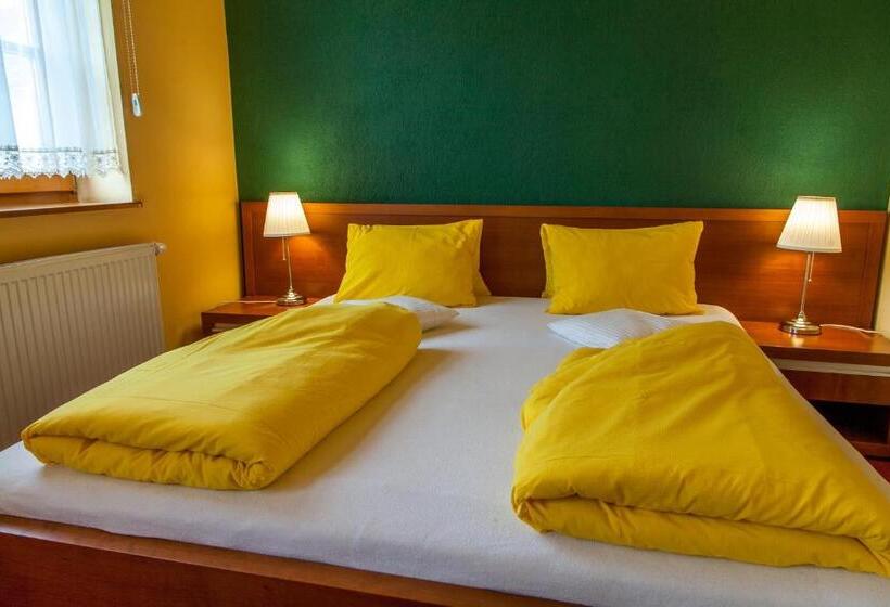 بنسيون Penzion U Pejtrika