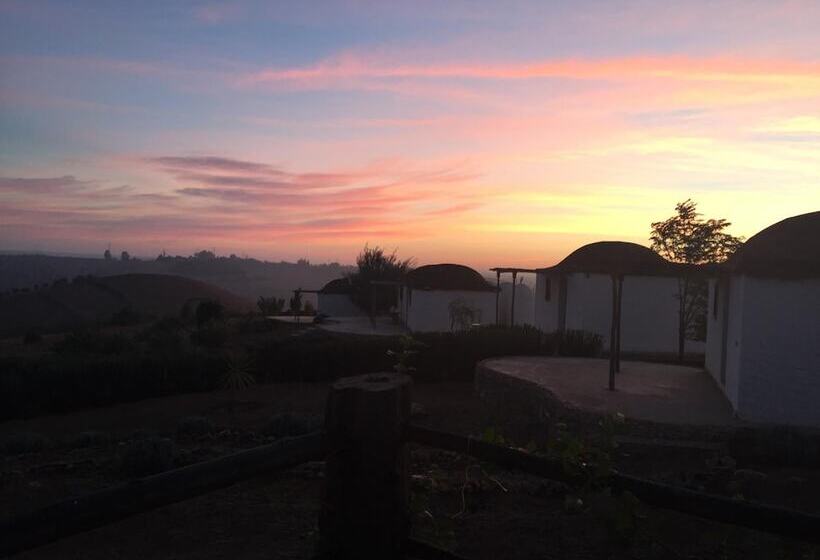 بنسيون Safa Boulaouane Eco Lodge