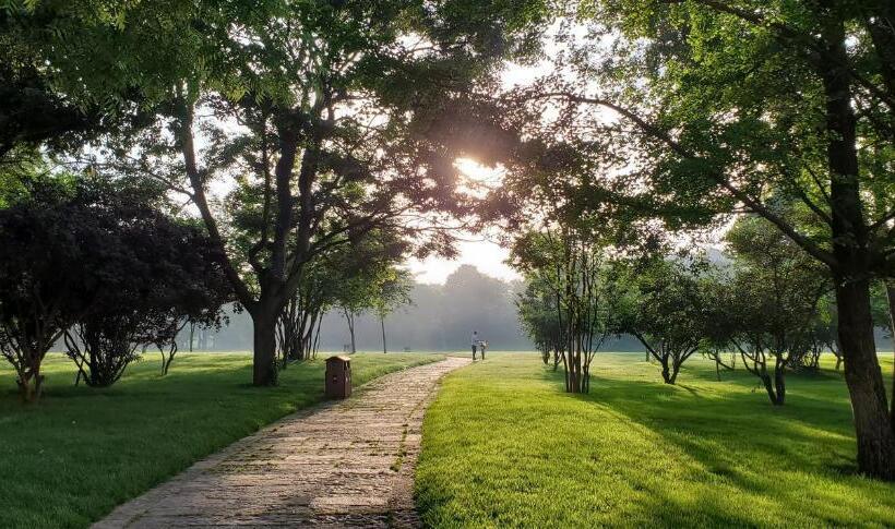 ペンション Stone Forest Mijia Guest House