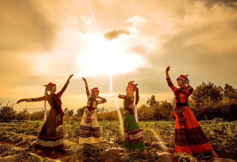 ペンション Stone Forest Mijia Guest House