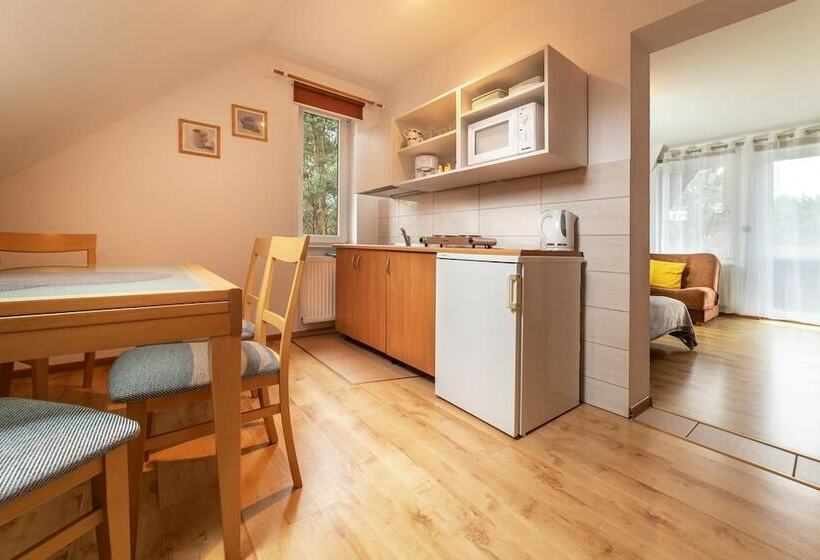 Пансион Willa Wiktoria