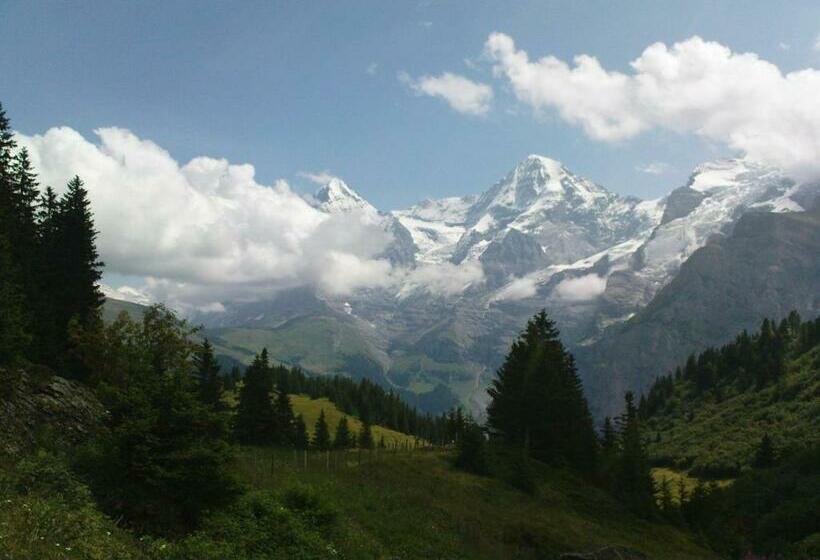 Pension Gimmelwald