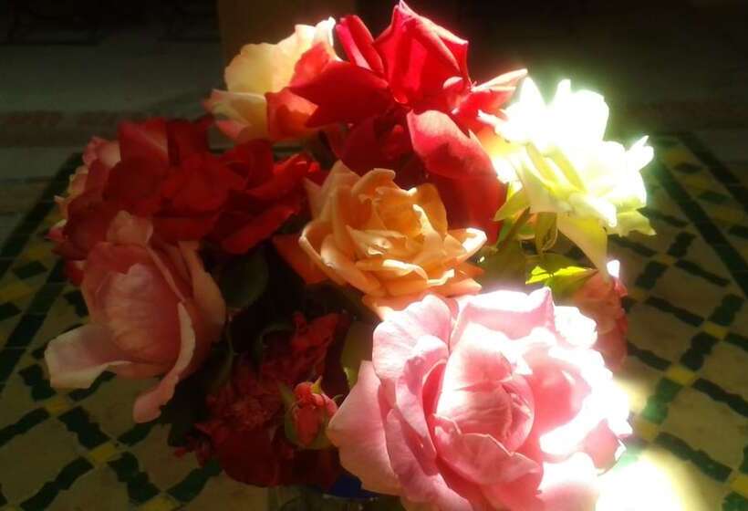 Riad Cascades D Ouzoud