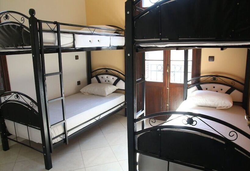 Tanja Lucia   Hostel