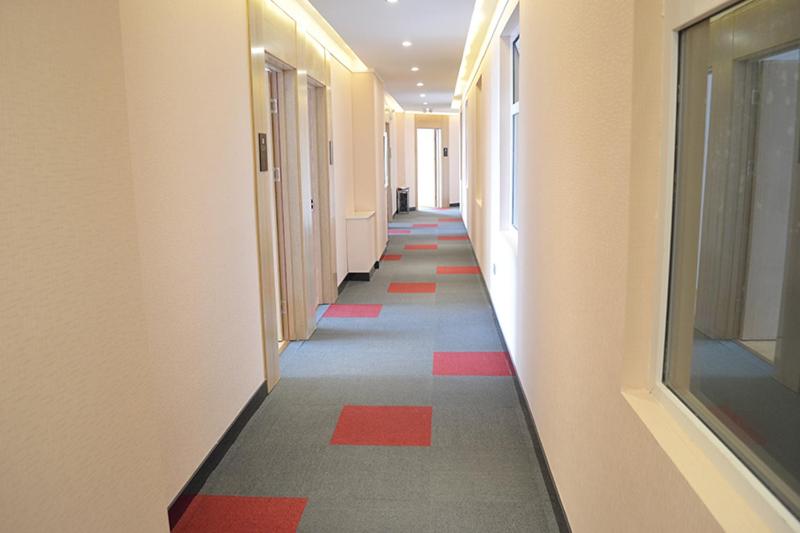 Thank Inn Chain Hotel Zhangjiakou Zhangbei County Tianbao New City