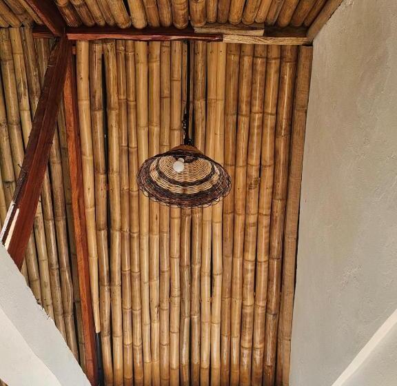 Big Bamboo Beach Resort Sipalay