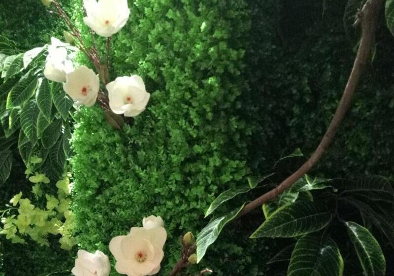 Отель Vatica Xuzhou Suining Bus Station Bayi West Road