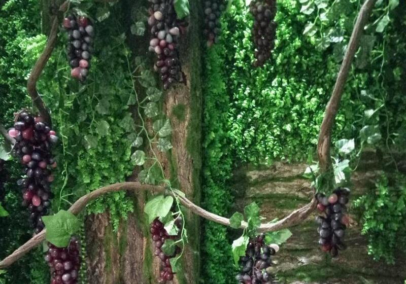 Отель Vatica Xuzhou Suining Bus Station Bayi West Road