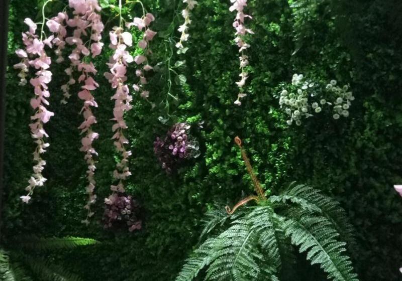 Отель Vatica Xuzhou Suining Bus Station Bayi West Road