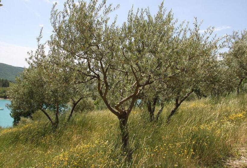 Отель Auberge Des Salles