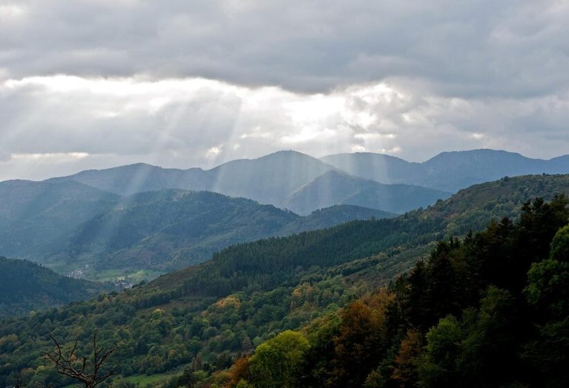 호텔 Logis Auberge Du Mehrbachel   Hôtel & Restaurant