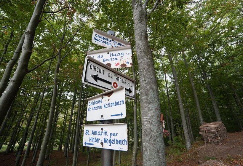 호텔 Logis Auberge Du Mehrbachel   Hôtel & Restaurant