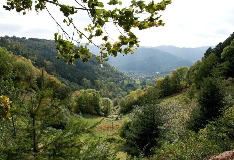호텔 Logis Auberge Du Mehrbachel   Hôtel & Restaurant