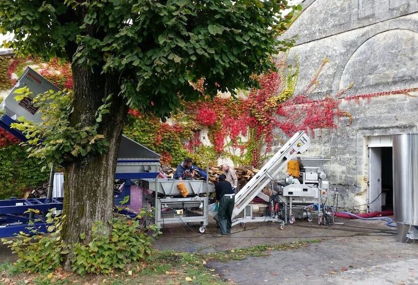 ホテル Château Fleur De Roques   Puisseguin Saint Emilion