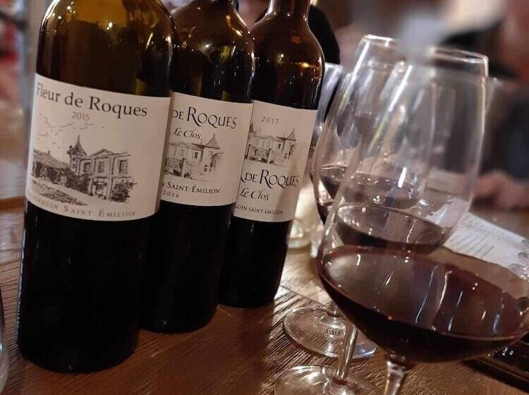 ホテル Château Fleur De Roques   Puisseguin Saint Emilion
