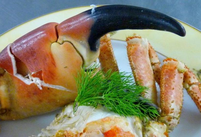 فندق Hôtel De La Baie Des Trépassés