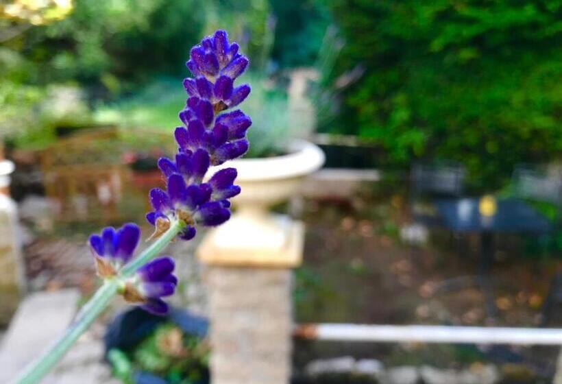 호텔 Domaine Du Moulin Vallée Heureuse