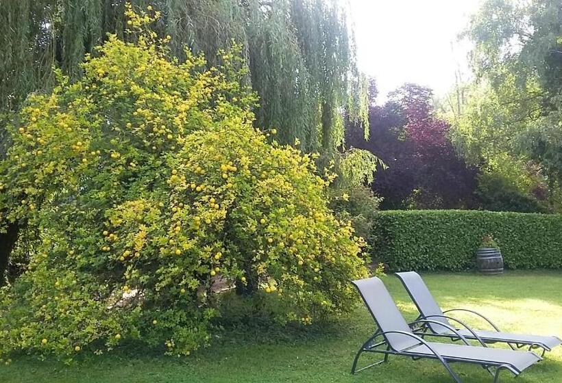 فندق Hostellerie Sarrasine  Macon Est