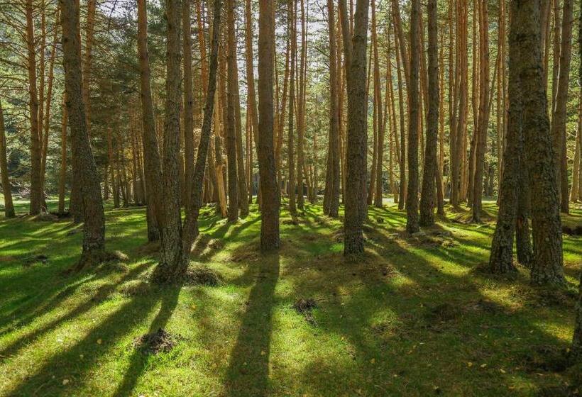 فندق Hôtel Aurélia