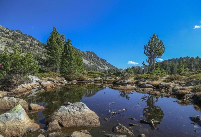 فندق Hôtel Aurélia