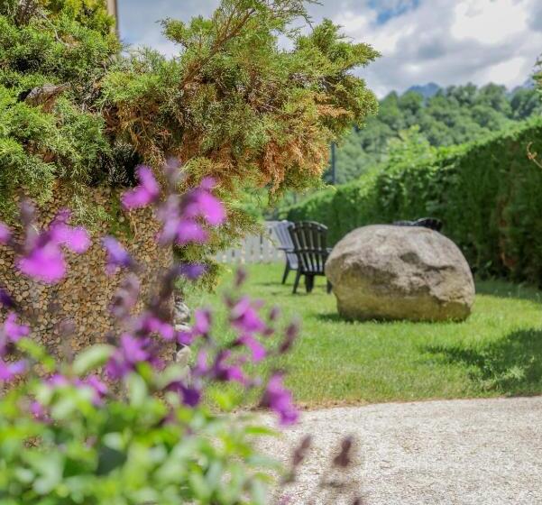 فندق Hôtel Aurélia