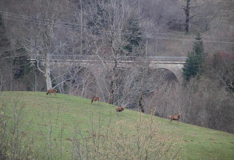 ホテル Hôtel Des Chazes