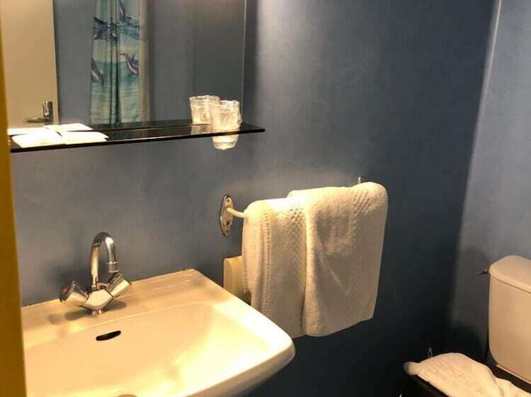 酒店 Hôtel Des Voyageurs