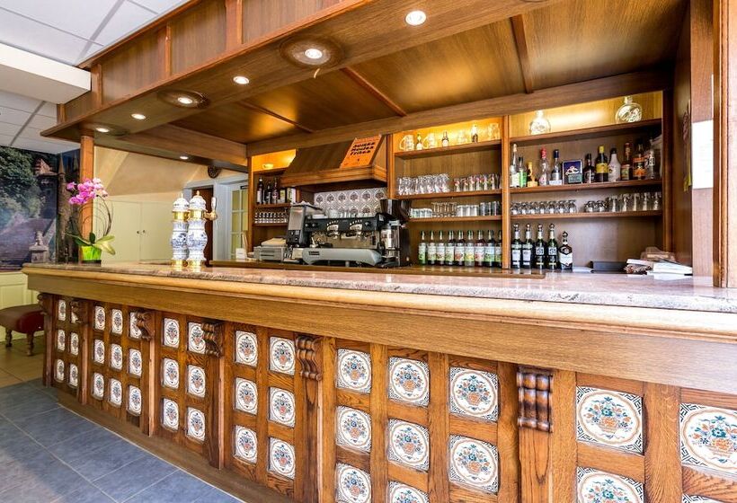 酒店 Hôtel Des Voyageurs