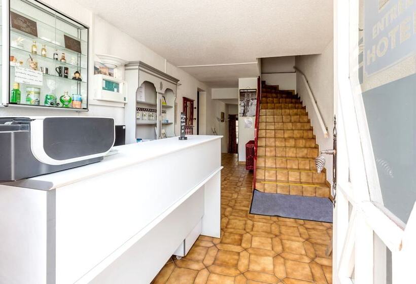 酒店 Hôtel Des Voyageurs