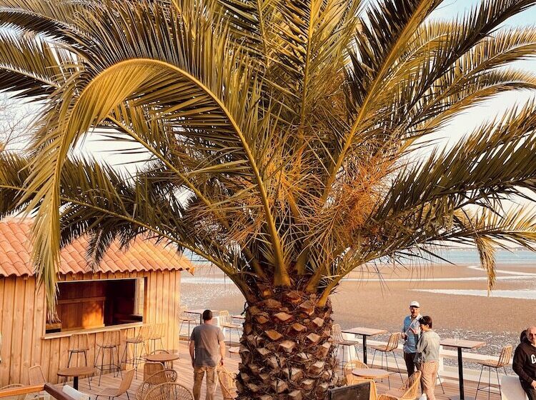 فندق Hôtel L Albatros