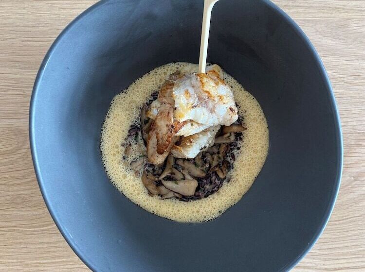 فندق Hôtel L Albatros