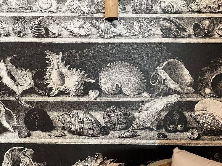 فندق Hôtel L Albatros